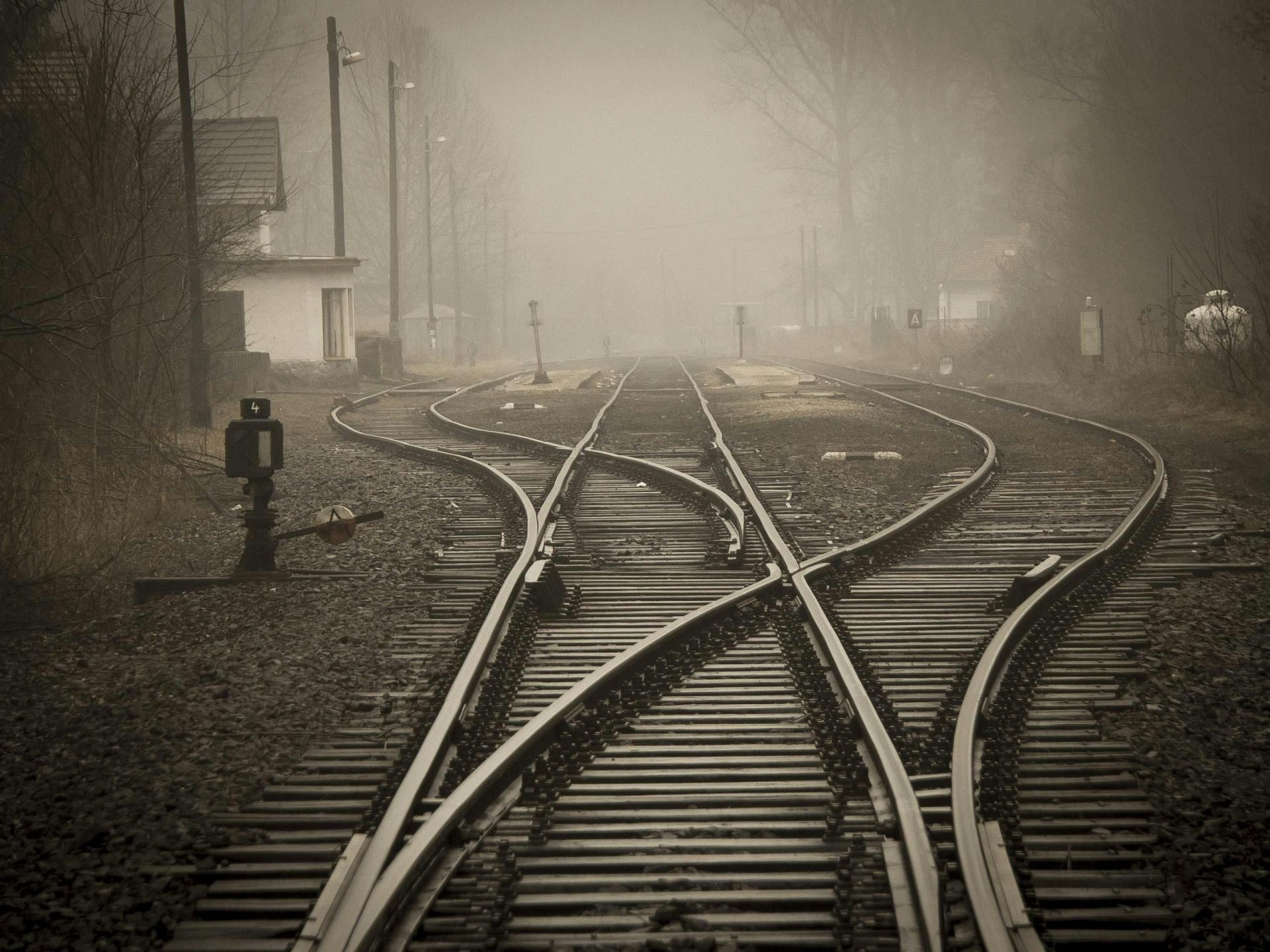 Our brain works in accordance to the stages of moral development. (Image via Pexels/ Pixabay)